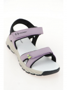 447026/01-03. Фото №2