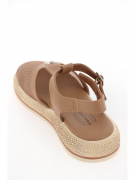 279-261 camel. Фото №5