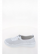 DV031-020. Фото №4