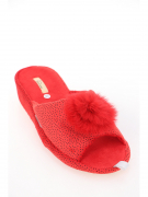 SV047-250. Фото №2