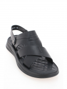 ZN056-011. Фото №2