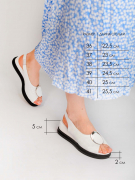 JE233-031. Фото №5