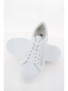 EC369-020. Фото №5