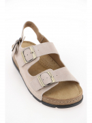 CV446-031. Фото №2