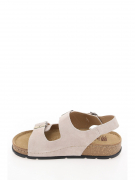 CV446-031. Фото №4