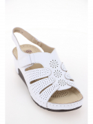 NU458-092. Фото №2