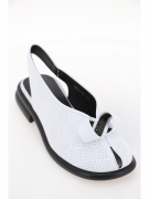 KF581-031. Фото №2