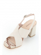 AAS26-BCLM1-022A. Фото №3