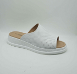 A503-5. Фото №1