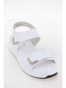 MF504. Фото №2