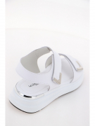 MF504. Фото №6