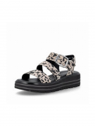 D3N50-60. Фото №2