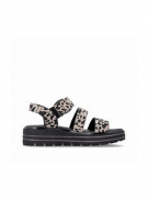 D3N50-60. Фото №3