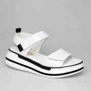 EV32031-02-12APP. Фото №1