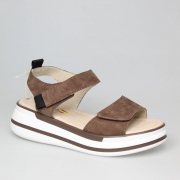 EV32031-02-2NPP. Фото №1