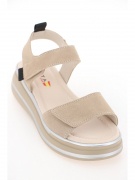 EV32031-02-3NPP. Фото №2