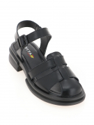 EV32033-01-1APP. Фото №2