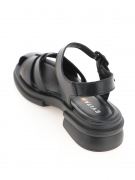 EV32033-01-1APP. Фото №5