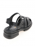 EV32033-01-1APP. Фото №6