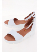 EV32275-01-12AKK. Фото №1