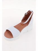 EV32275-01-12AKK. Фото №3