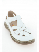 EV34267-01-12APK. Фото №2