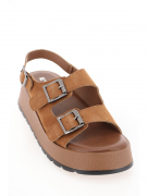 EV36053-01-2VPP. Фото №2