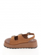 EV36053-01-2VPP. Фото №4