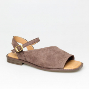 EV36100-01-2VBP. Фото №1