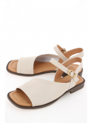 EV36100-01-3ABP. Фото №1