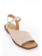 EV36100-01-3VBP. Фото №2