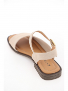 EV36100-01-3VBP. Фото №5