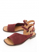 EV36100-01-5VBP. Фото №1