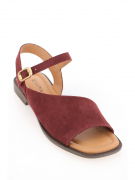 EV36100-01-5VBP. Фото №2