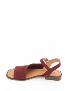 EV36100-01-5VBP. Фото №4