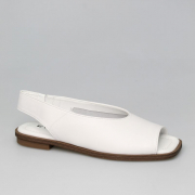 EV36102-03-12ABP. Фото №1