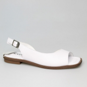 EV36102-04-12APP. Фото №1