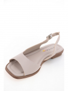 EV36102-04-15APP. Фото №3