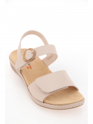 EV36110-02-3APT. Фото №2