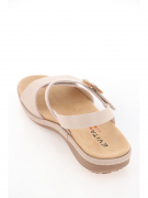 EV36110-02-3APT. Фото №5