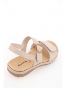 EV36110-02-3APT. Фото №6