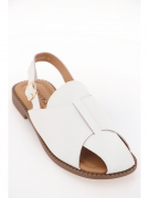 EV36112-01-12APP. Фото №2