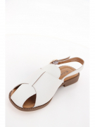 EV36112-01-12APP. Фото №3