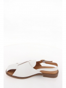 EV36112-01-12APP. Фото №4