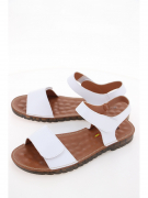 EV36118-01-12APP. Фото №1