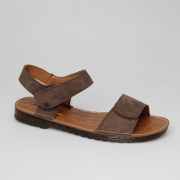 EV36118-01-2VPP. Фото №1