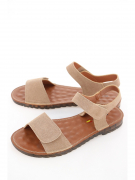 EV36118-01-3VPP. Фото №1