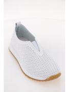 EV36205-03-12AРK. Фото №2