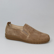 EV36271-01-4NTK. Фото №1