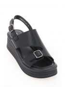 EV36275-01-1APP. Фото №2